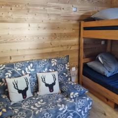 Studio fonctionnel 2 pers · Proche des pistes · Vue vallée - FR-1-181-2874