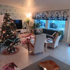 Rovaniemi Local-Style Home
