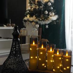 Apartament Ustrzyki Dolne "Dark-Wolf"