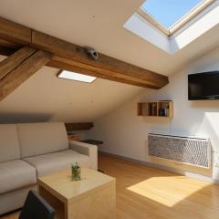 Le Repaire Des Toits - Villeurbanne - Proximité Lyon