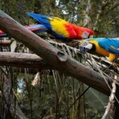 OYO Home 90416 Exclusuites