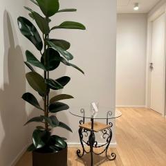 ALBENZA GREEN VILLAGE bed and breakfast