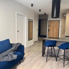 Vip Apartamenty Podpromie