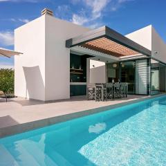 Modern villa Ruzic with pool near Porec