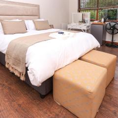 African Oasis Morrocco