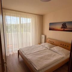 DELI Tatry Apartment