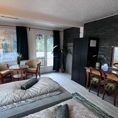 Apartment Thun - Lake view