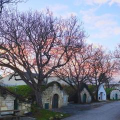 Apartments Kellergasse