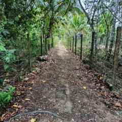 Casinha Verde- Hospedagem Itaobi - Arraial d Ajuda - Pedra Azul-Estrada da Pitinga