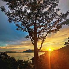 TINY HOUSE - Privacidade e Vista Exclusiva da Ilha