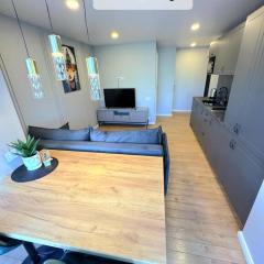 Trumpalaikė butų nuoma Kaune prie Klinikų STUDIJA E SELF CHECK IN