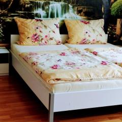 Apartment Am Birkenwäldchen by Interhome