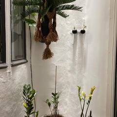 Petit studio haussmannien