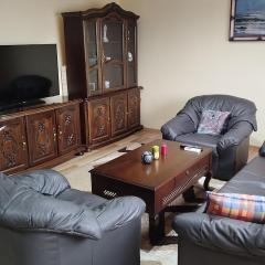 Comfortable Apartment in Skopje close to downtown