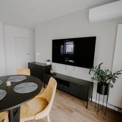 Metropolitan Apartment - Large, City Center & Parking