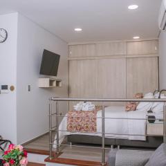 Aparta Hotel Loft 1985