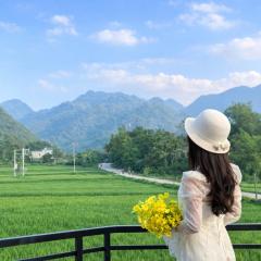 Mai Chau Golden Serenade