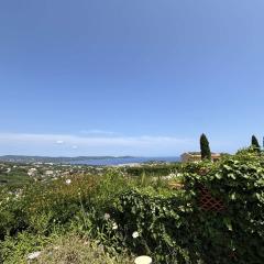 Studio tranquille avec piscine à Cavalaire - FR-1-226B-252