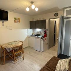 Studio cosy au centre de Samoëns pour 4 pers, animaux admis - FR-1-629-153