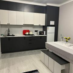 MOTEL на Шемякина