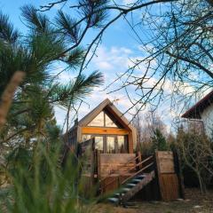 Ski House Szczyrk - Coś Innego