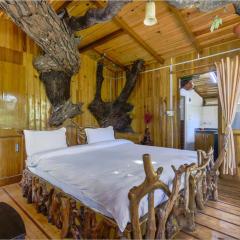 Silent Valley- Alchauna along river Kalsa