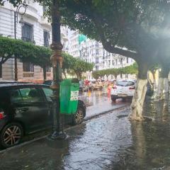 Confort, propreté et tranquillité à Alger centre