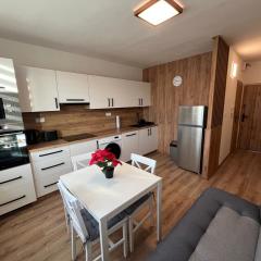 Apartmánový byt Nad řekou