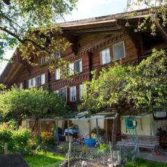 Apartment 4-5 Zimmer Ferienwohnung Hofstatthaus by Interhome