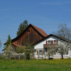 Apartment Wohnung Bellevue by Interhome