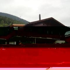 Apartment Chalet Bärli by Interhome