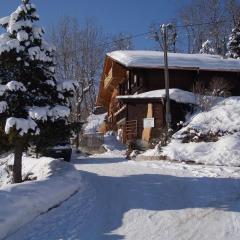 Apartment FeWo Zenger-Jossi by Interhome