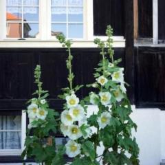 Holiday Home Ferien in der Vogelherd by Interhome