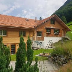 Apartment Ferien im Gugger - Wohnung Stockberg by Interhome