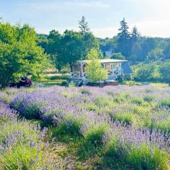 Tiny bohemian lodge at lake Balaton