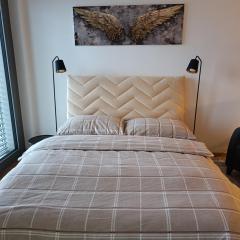 Metropolis apartment, parking, city center