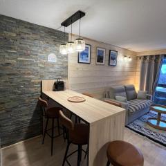 LE CORBIER Vue pistes Studio 5 personnes entièrement rénové et labellisé Qualité Hébergement Sybelles