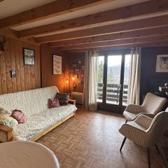 Chalet 3* 8 couchages, cheminée, parking, navette gratuite - FR-1-295-150