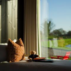 Mad Swans in The Mendips