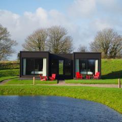 Mad Swans in The Mendips
