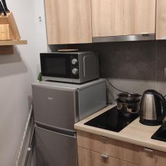 Cozy apartment in Poznań