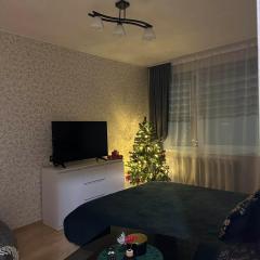 Vieno kambario apartamentai Telšiuose