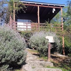 Cabañas de montaña