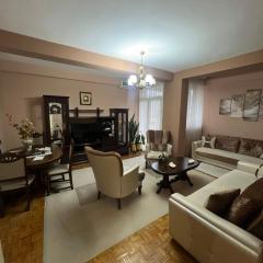 Apartment Banesa center