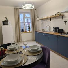 Royal Kamianets Apartment , центр Старого міста , 100м до Ратуші , вид на сквер та історичний центр