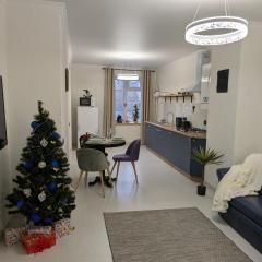 Royal Kamianets Apartment , центр Старого міста , 100м до Ратуші , вид на сквер та історичний центр