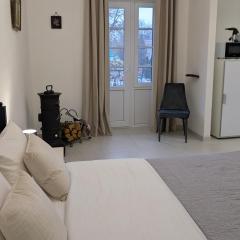 Royal Kamianets Apartment , центр Старого міста , 100м до Ратуші , вид на сквер та історичний центр