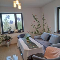 Noclegi - Ostre Lipowa Żywiec Beskidy