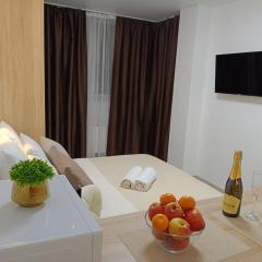 Apartment Kiev Studio with city view