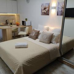 Apartment Kiev Studio with city view